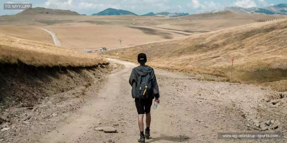 🎯 专业装备，让你的每一次挥拍都精准如冠军！